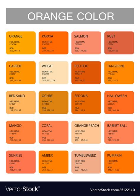 Orange Color Codes And Names Selection Colors Vector Image On E90