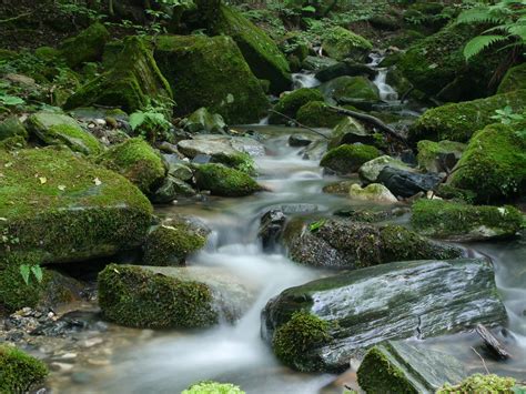 Free Images Landscape Nature Forest Rock Waterfall Creek