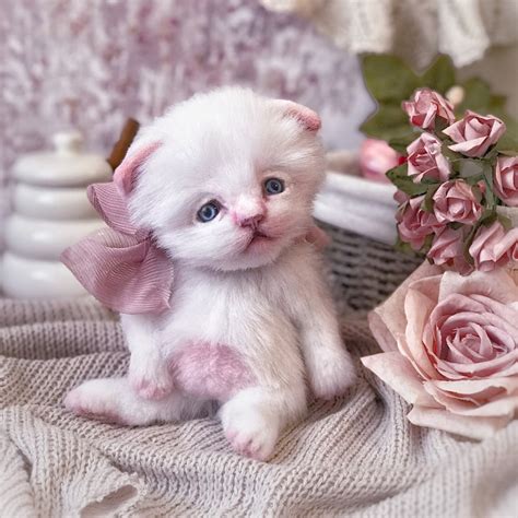 Realistic Toy Plush White Cat Little Kitten Soft Sculpture Etsy