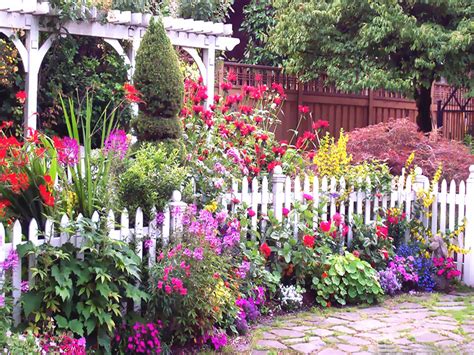 English Cottage Garden Pictures Photos And Images For