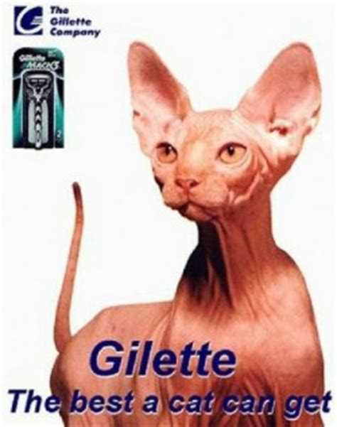 However, 2 of the uncovered ones sit underneath specially made cat furniture, and the cats really like this. Shaving Does Not Make Your Hair Grow Back Thicker or Faster