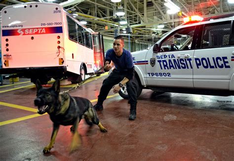 Flickriver Photoset Septa K9 Explosive Detection Dogs By Phillycop