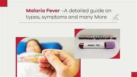 Malaria Fever A Detailed Guide On Types Symptoms And Many More