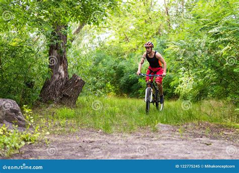 Cyclist Riding A Bicycle Through The Summer Forest Free Space Stock Image Image Of Downhill