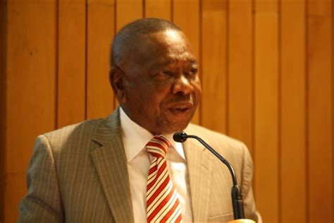 Update information for blade nzimande ». Blade Nzimande - Blade Nzimande - other.wiki