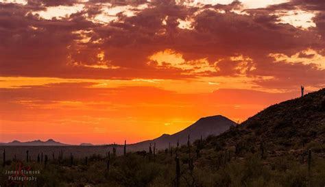 Phoenix Arizona Has The Most Beautiful Sunsets Arizona Sunset