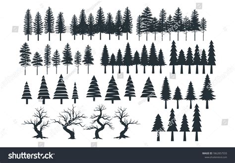Assorted Pine Tree Vector Graphic Design Stock Vector Royalty Free 1862857555 Shutterstock
