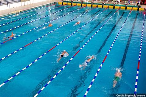 Swimming is always one of the marquee events of the olympics, and the rio games are brimming with great matchups. Quiz: Dive In and Learn More About Swimming | Channel One News