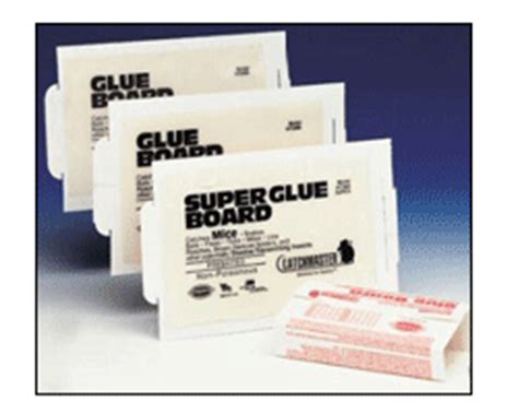 Catchmaster glue traps for rats, mice and other pests are available from parsons pest control! Catchmaster 72mb Glue Traps - Catchmaster 72mb Glue Boards ...