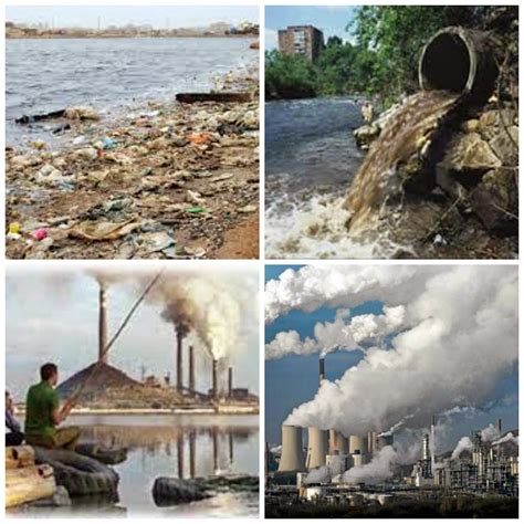Contaminación Del Medio Ambiente