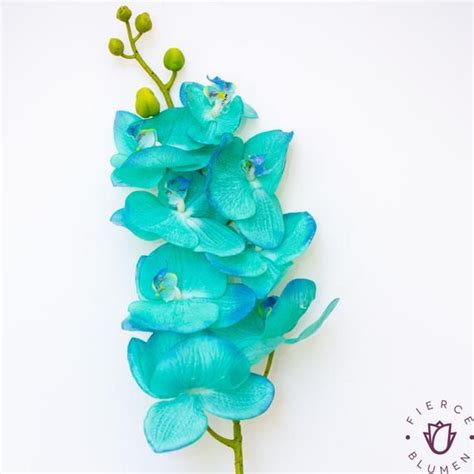 Looking for a colorful flowers colored? Turquoise real touch orchids, real touch flowers, aqua ...