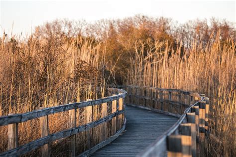 We have stayed several times at the falls campground and have always had a good experience. 5 Best Camping Spots in Coastal Virginia | Camping spots ...