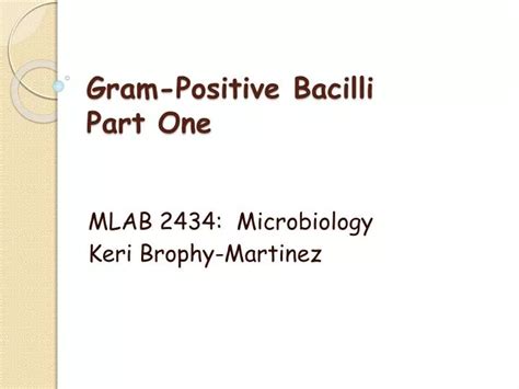Ppt Gram Positive Bacilli Part One Powerpoint Presentation Free