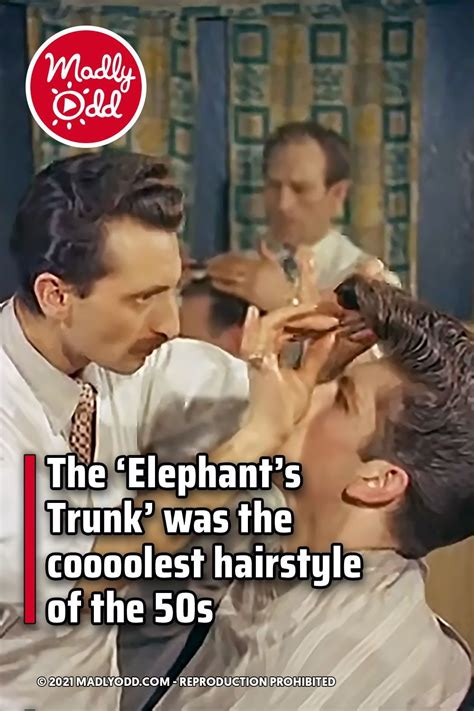 The ‘elephants Trunk Was The Coooolest Hairstyle Of The 50s