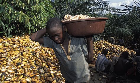 Child Labour Cocoa Ivory Coasts Child Labor Behind Chocolate The