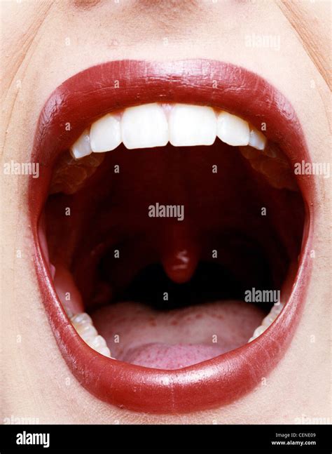 Close Up Image Of Females Open Mouth Showing Uvula Wood Stock Photo