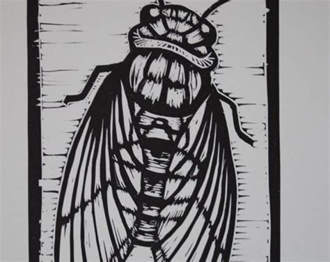 Cicada Linocut Print Etsy