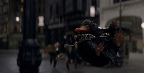 Fantastic Beast And Where To Find Them Stream - ‘Fantastic Beasts and Where to Find Them’: A VFX Creature Guide | IndieWire
