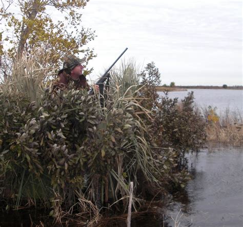 Lowcountry Outdoors November 10 Wma Duck Harvest Report