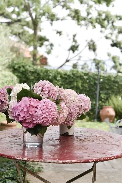 Épinglé par DayDreamer sur pink hydrangea cottage ...