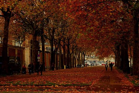 Autumn In Paris A Lane Filled With Withering Autumn Lea Flickr