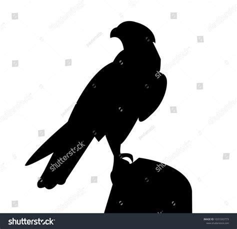 51373 Falcon Silhouette Images Stock Photos And Vectors Shutterstock