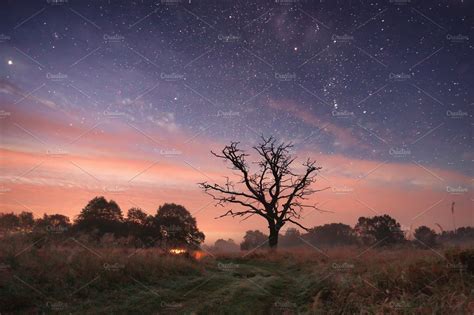 Starry Sky Over Meadow At Night Nature Stock Photos ~ Creative Market