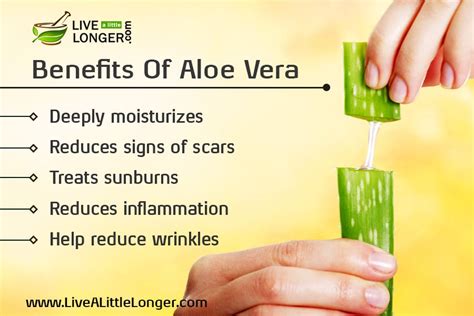 Aloe gel is also great for managing skin conditions such as psoriasis, eczema, and dermatitis, which cause inflammation and weaken the skin barrier, making the skin more susceptible. Pure, Aloe Vera, Organic Ingredient, Skin Care ...
