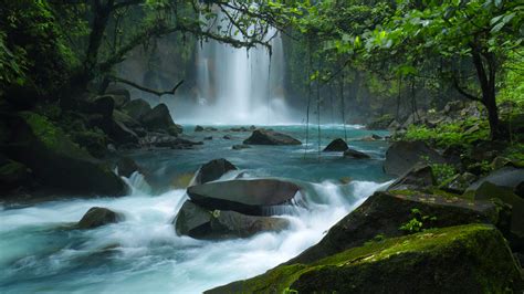 Celeste River In Tenorio National Park Costa Rica Windows Spotlight