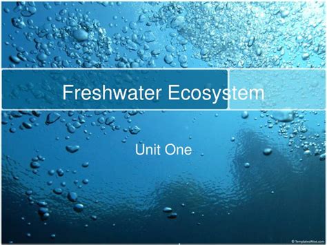 Ppt Freshwater Ecosystem Powerpoint Presentation Free Download Id