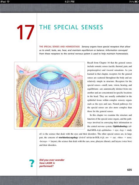 Principles Of Anatomy And Physiology Chapter 17 The Special Senses 1