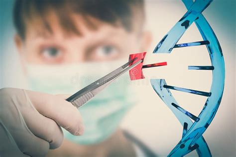 Genetic Engineering And Gene Manipulation Concept Stock Image Image