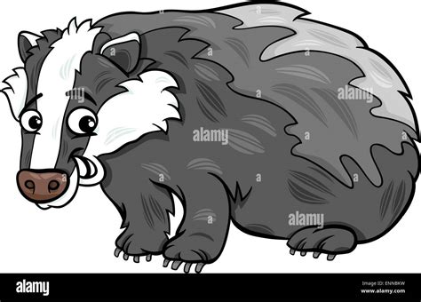 Badger Animal Cartoon Illustration Stock Vector Image And Art Alamy