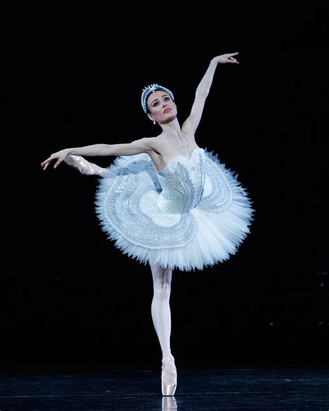 Swan Lake 2016 The Australian Ballet Australian Ballet Ballet