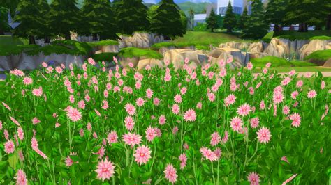 Mod The Sims Early Spring Fields Of Wildflowers
