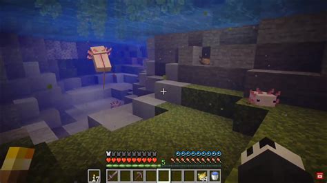 How To Breed Axolotl In Minecraft 1 17 Caves Cliffs U