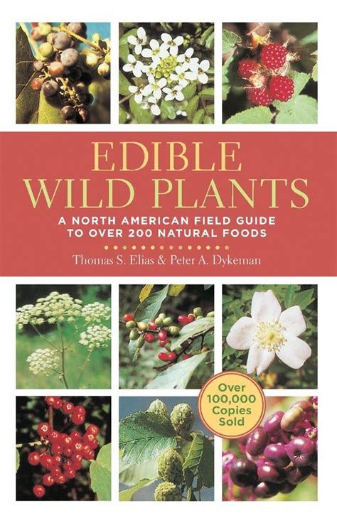 Edible Wild Plants A North American Field Guide To Over 200 Natural