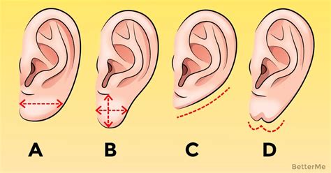 Thats What The Shape Of Your Ears Can Say About Your Health Уши