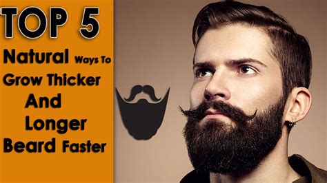 How To Grow Facial Hair Faster Galhairs