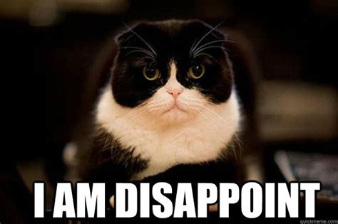 I Am Disappoint Disappointed Kitty Quickmeme
