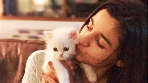 Alia Bhatt Gets A Kitten On Her Birthday Names It Edward Bhatt
