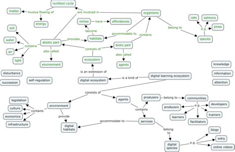 Mapa Conceptual De La Relación Entre Ecosistema Natural Y Ecosistema