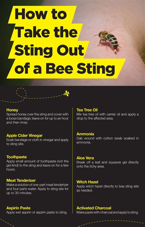 Treating Bee Stings How To Take The Sting Out The Amino Company