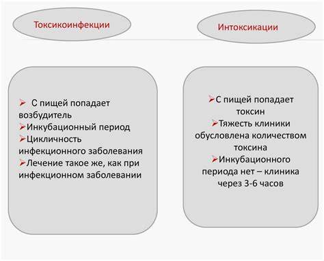 Пищевые токсикоинфекции и интоксикации - презентация онлайн Картинка - Пищевые токсикоинфекции и интоксикации - презентация онлайн
