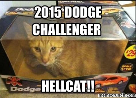 Take The Marvelous Funny As Hell Cat Memes Hilarious Pets Pictures