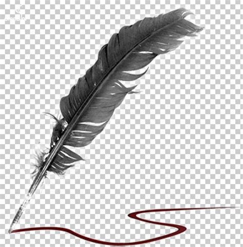 Literature Quill Creative Writing Poetry Png Clipart Book Creative