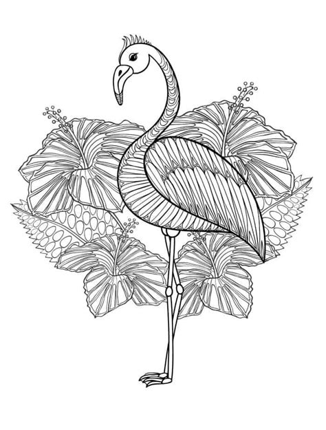 Gorgeous Free Printable Adult Coloring Pages Flamingo Coloring