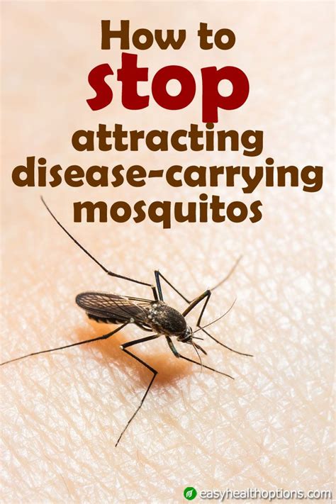 Easy Health Options How To Stop Attracting Disease Carrying