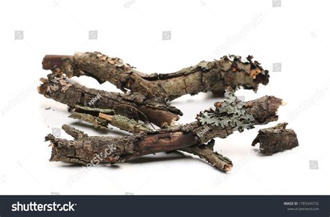 Dry Rotten Branches Pile Fire Isolated Stock Photo 1783349732