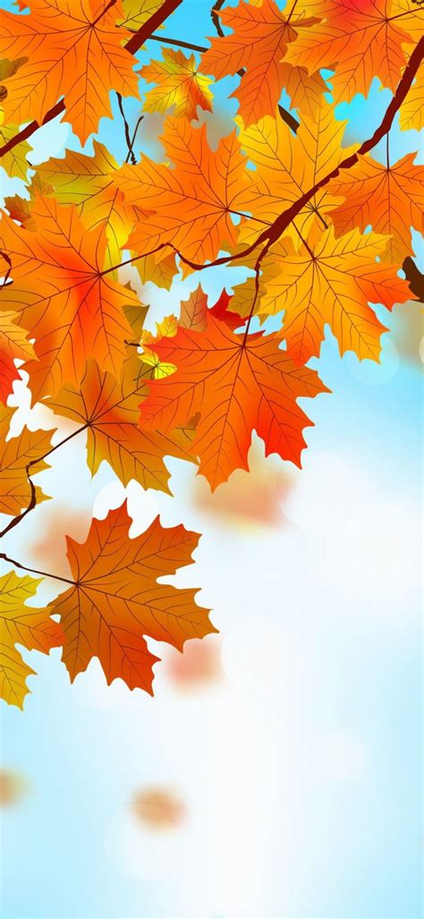 35 Autumn Leaves Phone Wallpapers Wallpapersafari